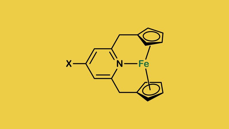 The iron and nitrogen atoms in the 20-electron version of ferrocene.