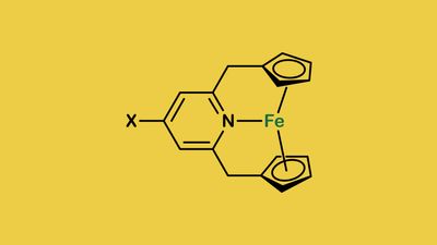 The iron and nitrogen atoms in the 20-electron version of ferrocene.
