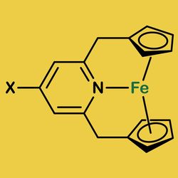 The iron and nitrogen atoms in the 20-electron version of ferrocene.