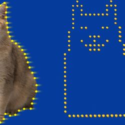 A regular cat and a cat design made of just atoms next to each other.