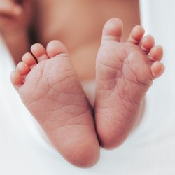 Newborn baby feet photographed on white background