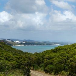 photograph of a gravelly road with bushes on either side, the blue sea off the coast of Elim, Far North Queensland, can be seen in the distance