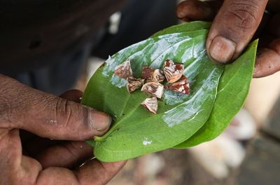 Betel nut
