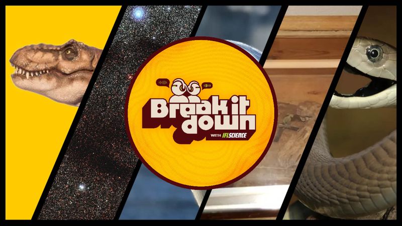 All the biggest science news stories of the week.