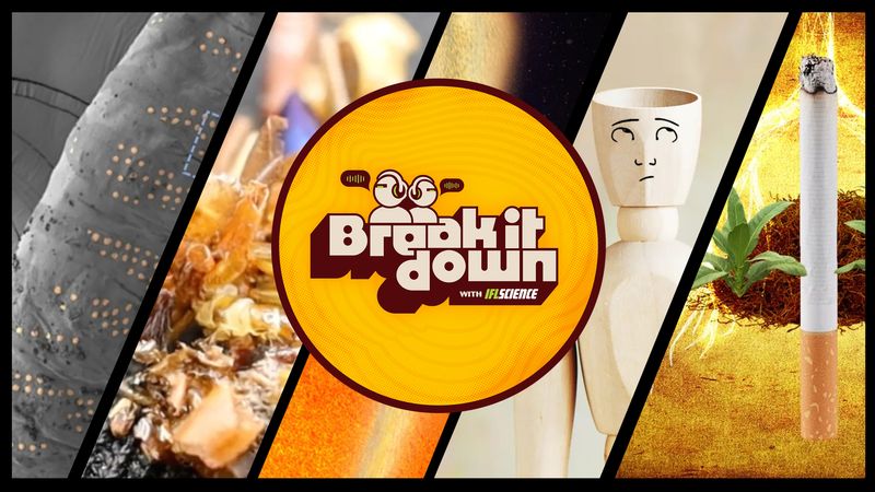 All the biggest science news stories of the week.