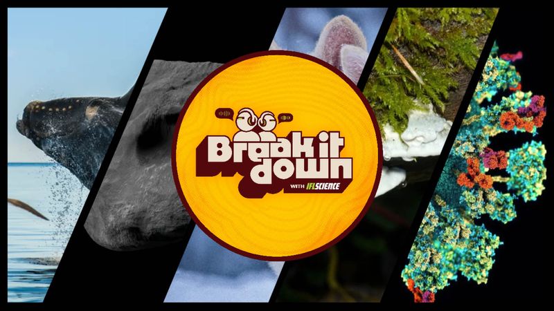 All the biggest science news stories of the week.