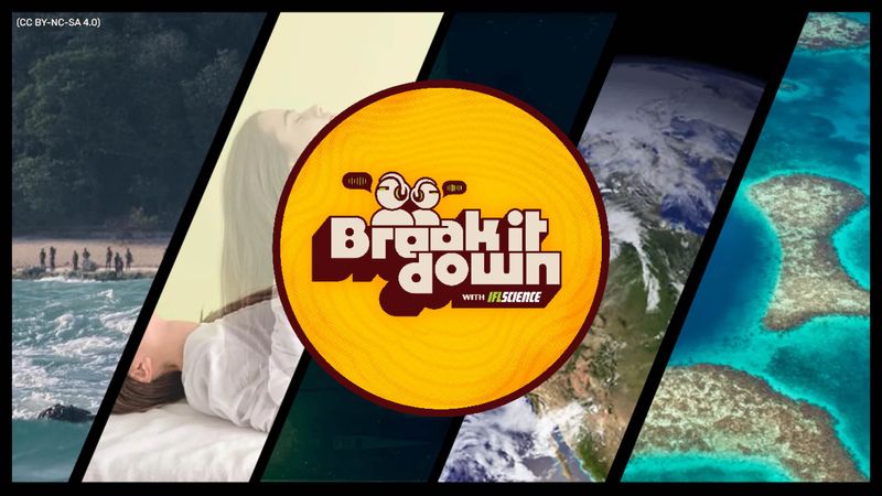 All the biggest science news stories of the week.