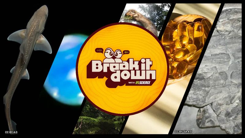 All the biggest science news stories of the week.