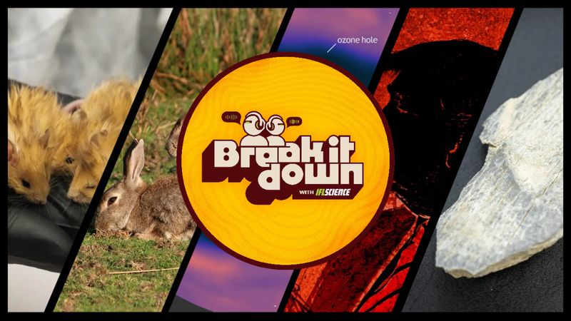 All the biggest science news stories of the week.