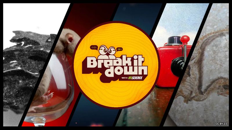 All the biggest science news stories of the week.