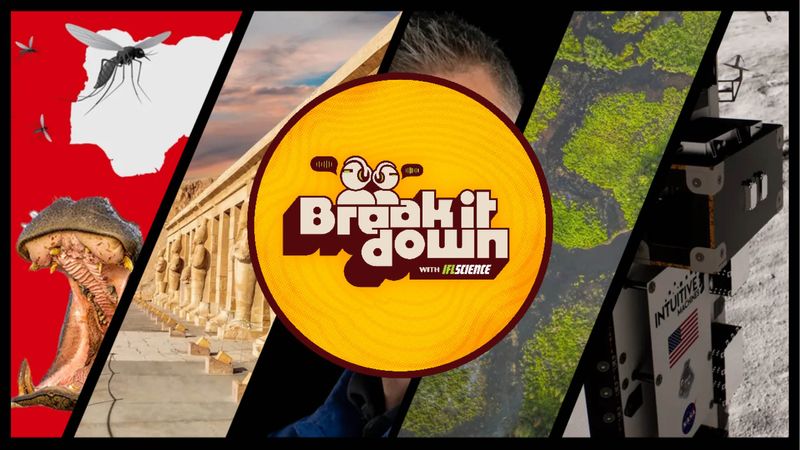 All the biggest science news stories of the week.