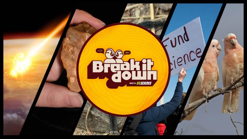 All the biggest science news stories of the week.