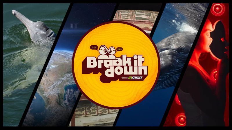 All the biggest science news stories of the week.