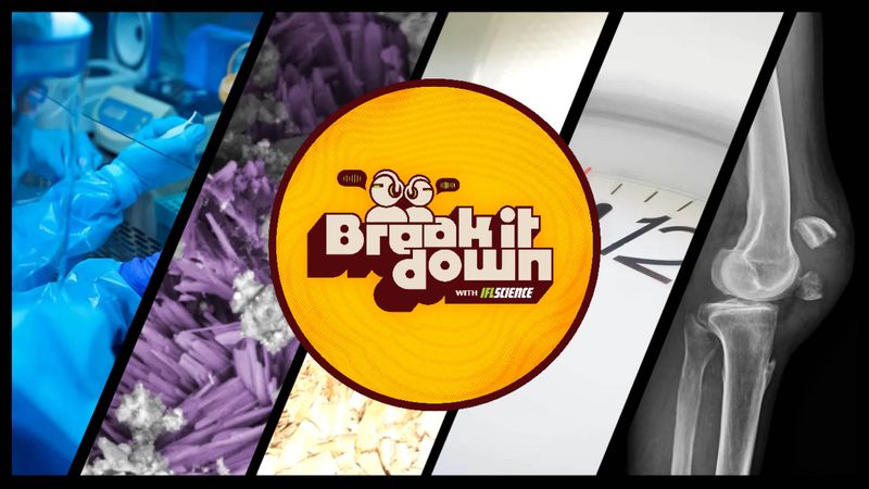 All the biggest science news stories of the week.