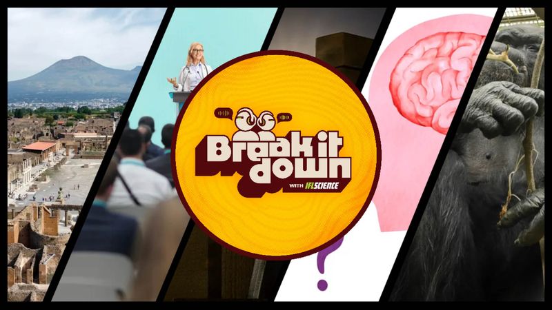 All the biggest science news stories of the week.