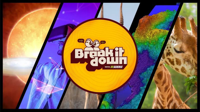 All the biggest science news stories of the past week