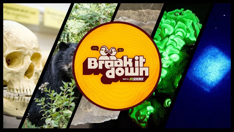 All the biggest science news stories of the week.