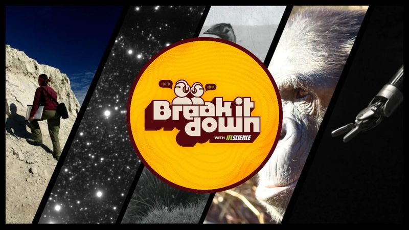 All the biggest science news stories of the week.