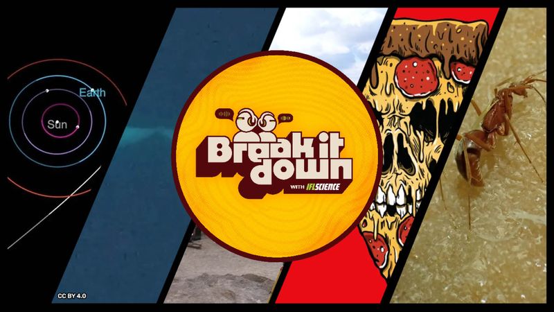 All the biggest science news stories of the week.