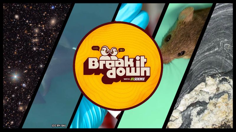 All the biggest science news stories of the week.