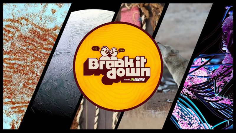 All the biggest science news stories of the week.