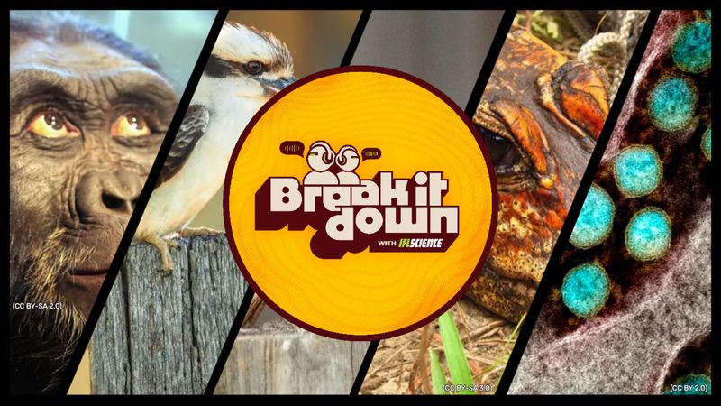 All the biggest science news stories of the week.