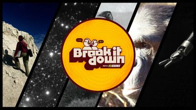 All the biggest science news stories of the week.