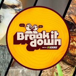 All the biggest science news stories of the week.