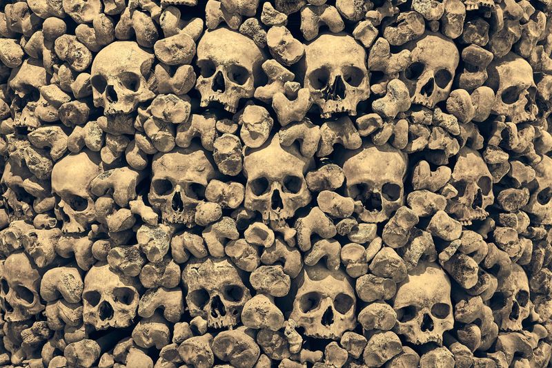 A photo showing numerous human skulls walled together with hundreds of bones. The bones are all leg bones, stacked on top of one another with their ends facing the camera.