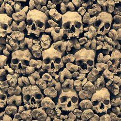 A photo showing numerous human skulls walled together with hundreds of bones. The bones are all leg bones, stacked on top of one another with their ends facing the camera.