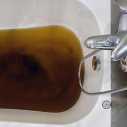 Dirty brown water in a bathtub