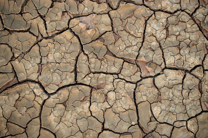 A photo looking down on the cracked dry earth during a drought. The ground has a network of cracks and fissures extending through it. 
