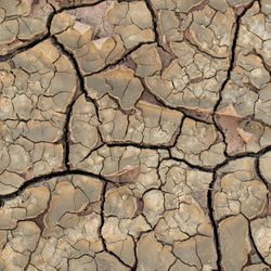 A photo looking down on the cracked dry earth during a drought. The ground has a network of cracks and fissures extending through it. 