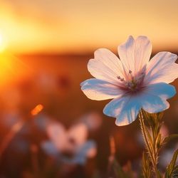 Tiny pollen grains have been dated to 123 million years ago, meaning flowering plants have been around longer than we thought.