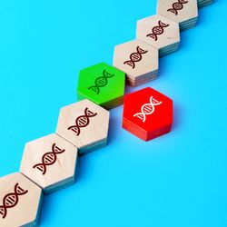 diagonal line of hexagonal wooden tiles on a bright blue background; each tile contains an image of a helix to represent DNA. In the middle of the line, a red tile is being replaced with a green one.