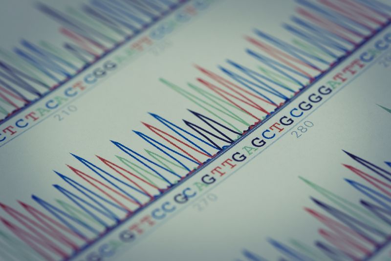 DNA sequence chart (Nucleotide sequence)