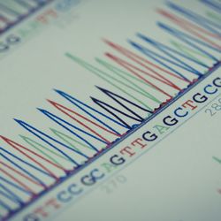 DNA sequence chart (Nucleotide sequence)