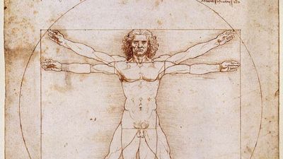 Vitruvian man