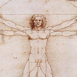 Vitruvian man