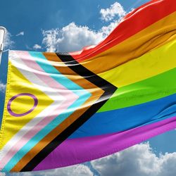The intersex-inclusive (yellow with purple circle) Progress Pride flag. 