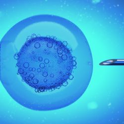3D Illustration of a DNA filled liquid being injected into an egg cell nucleus