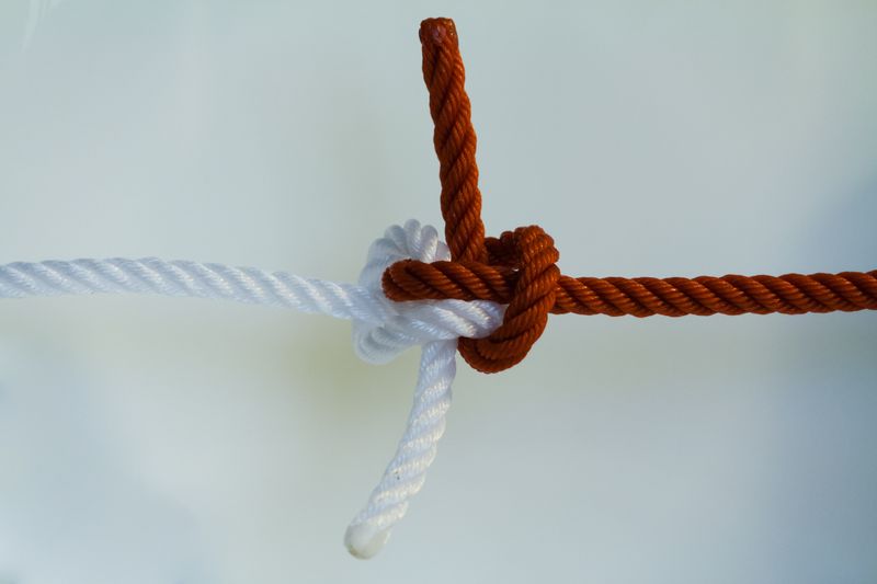 Zeppelin bend knot against a white background.
