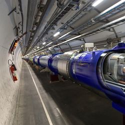 The Large Hadron Collider may not be a thing of beauty, but when it produced particles containing beauty quarks and antiquarks it revealed a piece of one of science's greatest puzzles.