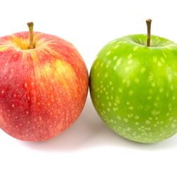 a red and a green apple next to each other on a white background