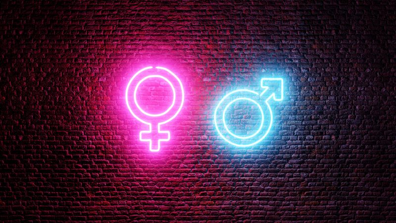 A photo showing the female and male sex icons as glowing neon lights suspended on a brick wall. The female symbol is lit in pink and the male is blue. 