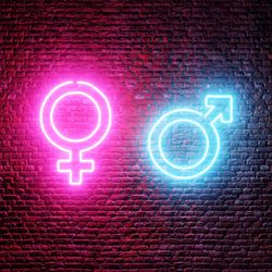 A photo showing the female and male sex icons as glowing neon lights suspended on a brick wall. The female symbol is lit in pink and the male is blue. 