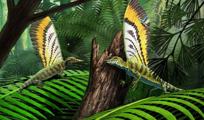 Artist's impression of Mirasaura grauvogeli