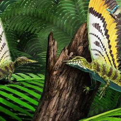 Artist's impression of Mirasaura grauvogeli