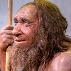 Neanderthal man