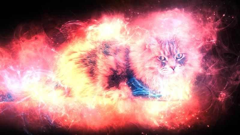 A cat overimposed on the image of a red and orange nebula